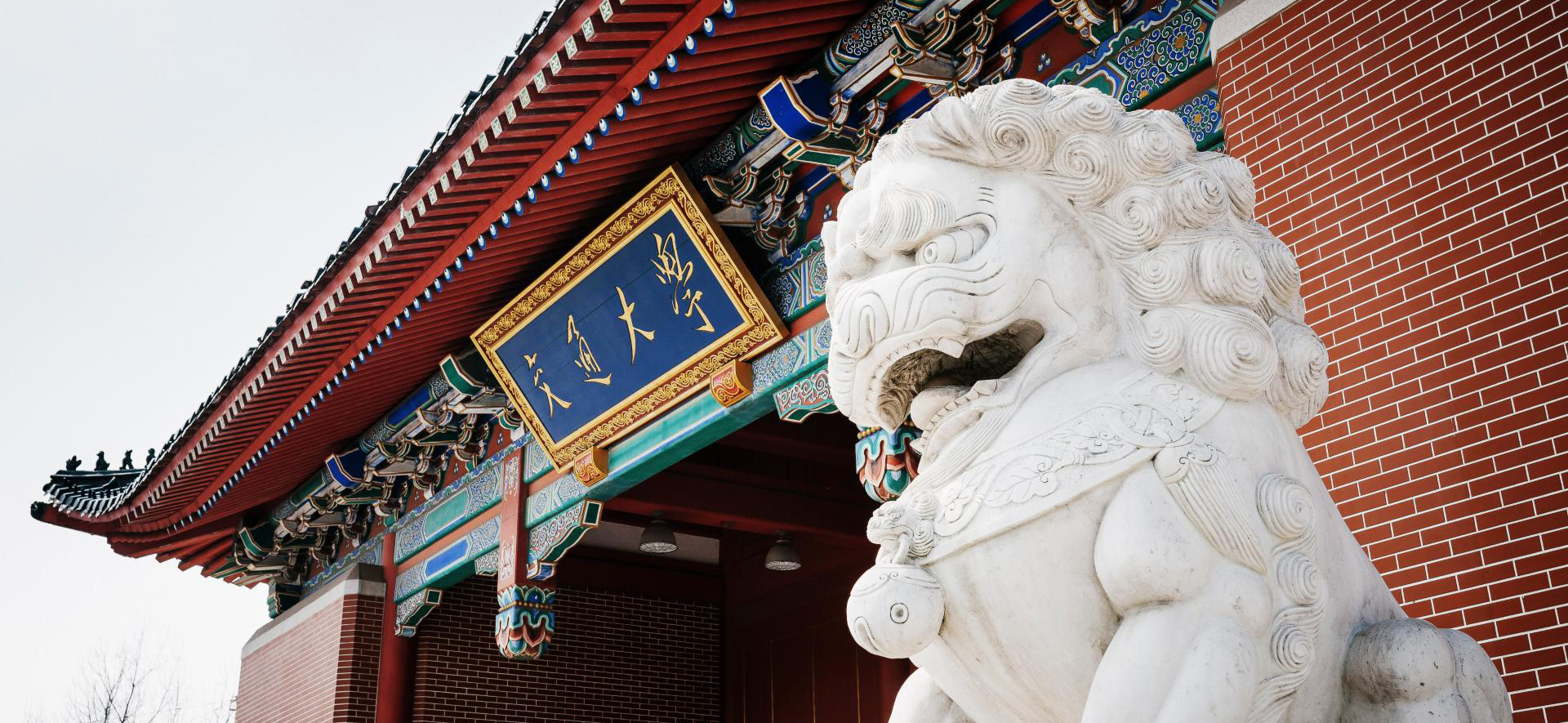 习近平总书记重要回信引发上海交大师生校友热烈反响